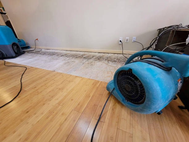 Professional Ceiling Water Damage Repair technician working in Eleanor, WV